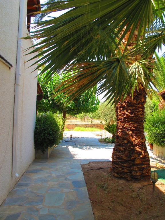Stefanie Studios Aegina Buitenkant foto